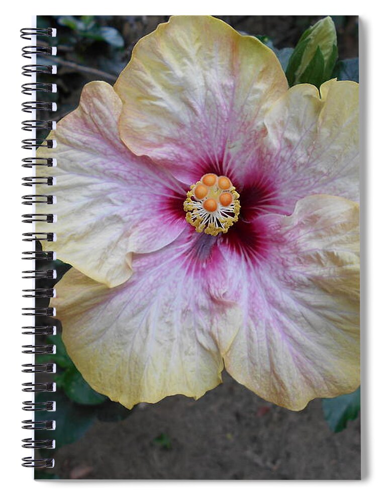Flower Spiral Notebook featuring the photograph Tinges of Purple by Nancy Graham