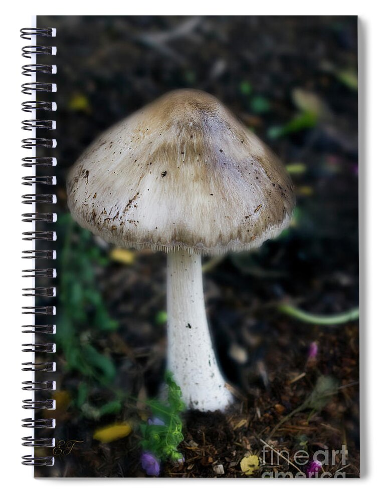 Fungi Spiral Notebook featuring the photograph Toadstool by Elaine Teague