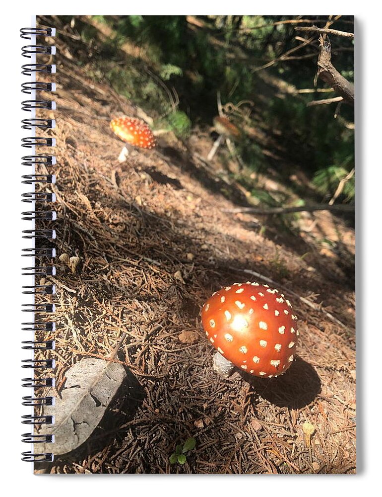 All Spiral Notebook featuring the digital art Toadstools 2 KN53 by Art Inspirity