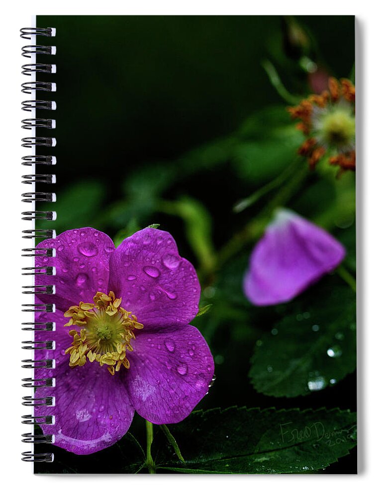 Alaska Spiral Notebook featuring the photograph TODAY and YESTERDAY by Fred Denner
