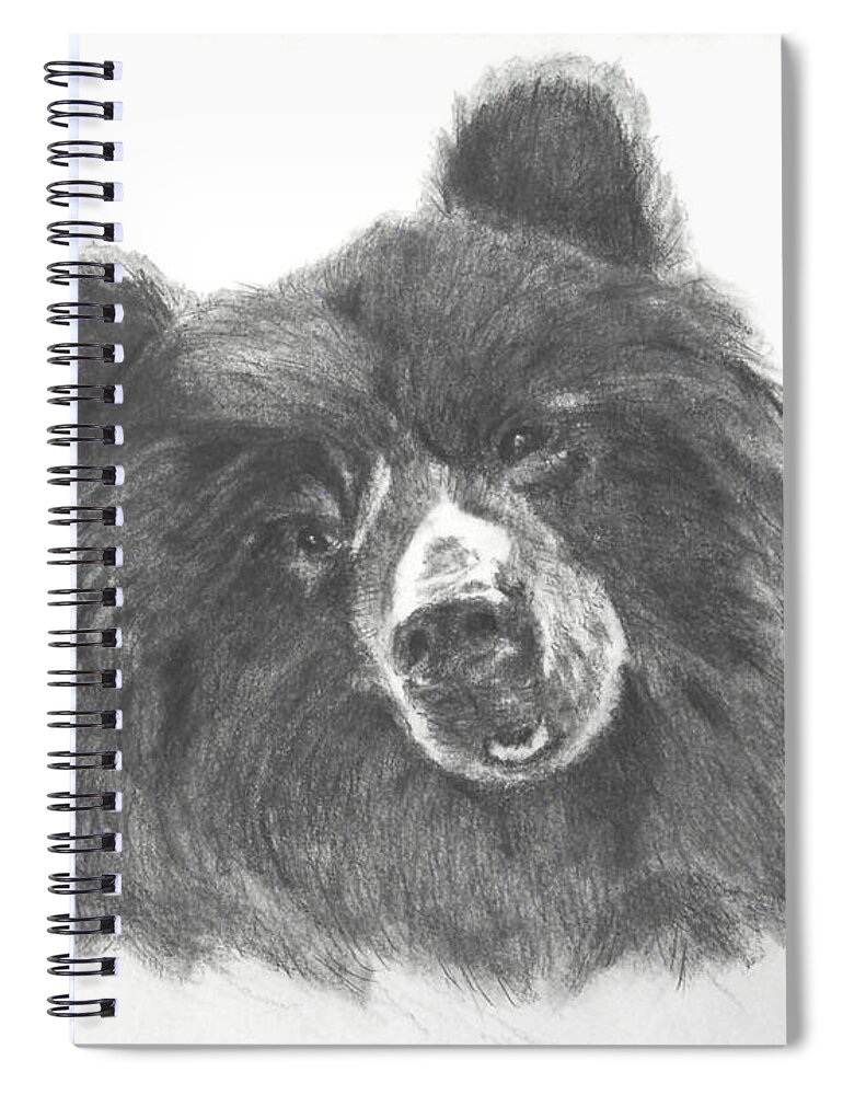 Bear Spiral Notebook featuring the drawing Tootsie Roll by Vallee Johnson