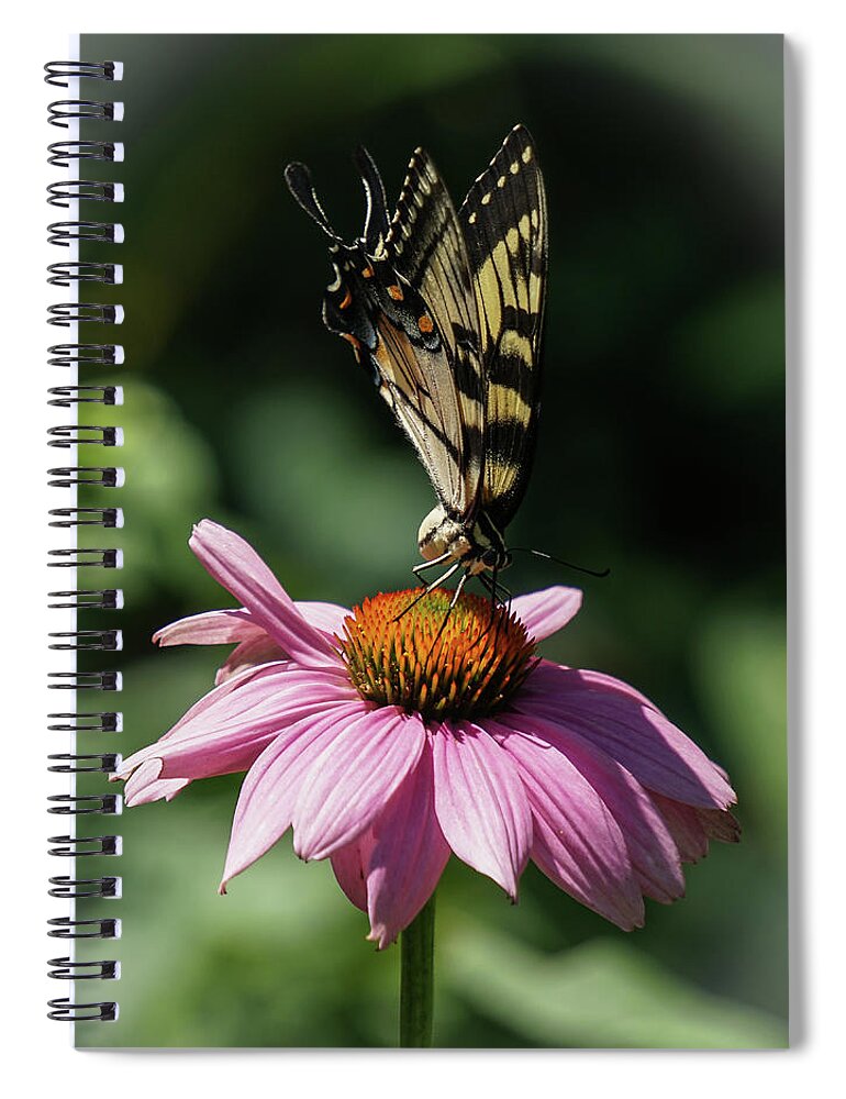 Swallowtail Spiral Notebook featuring the photograph Top of the World by Tana Reiff
