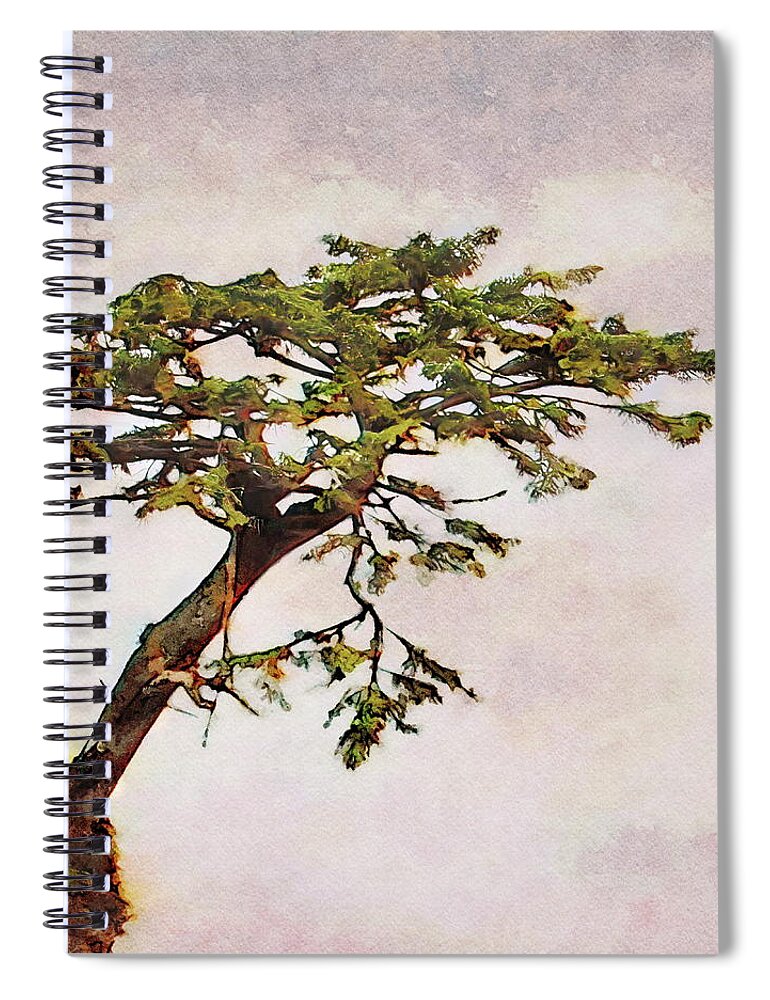 Torrey Spiral Notebook featuring the painting Torrey Pine Tree on a Rock by Russ Harris