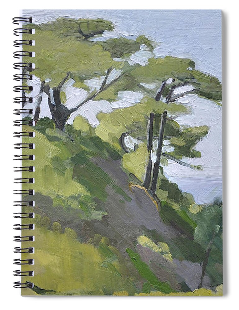 Torrey Pines Spiral Notebook featuring the painting Torrey Pines - La Jolla, San Diego, California by Paul Strahm