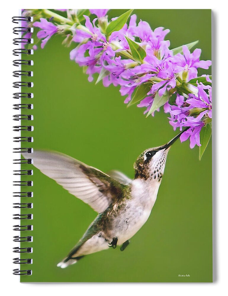 Hummingbird Spiral Notebook featuring the digital art Touched Hummingbird by Christina Rollo