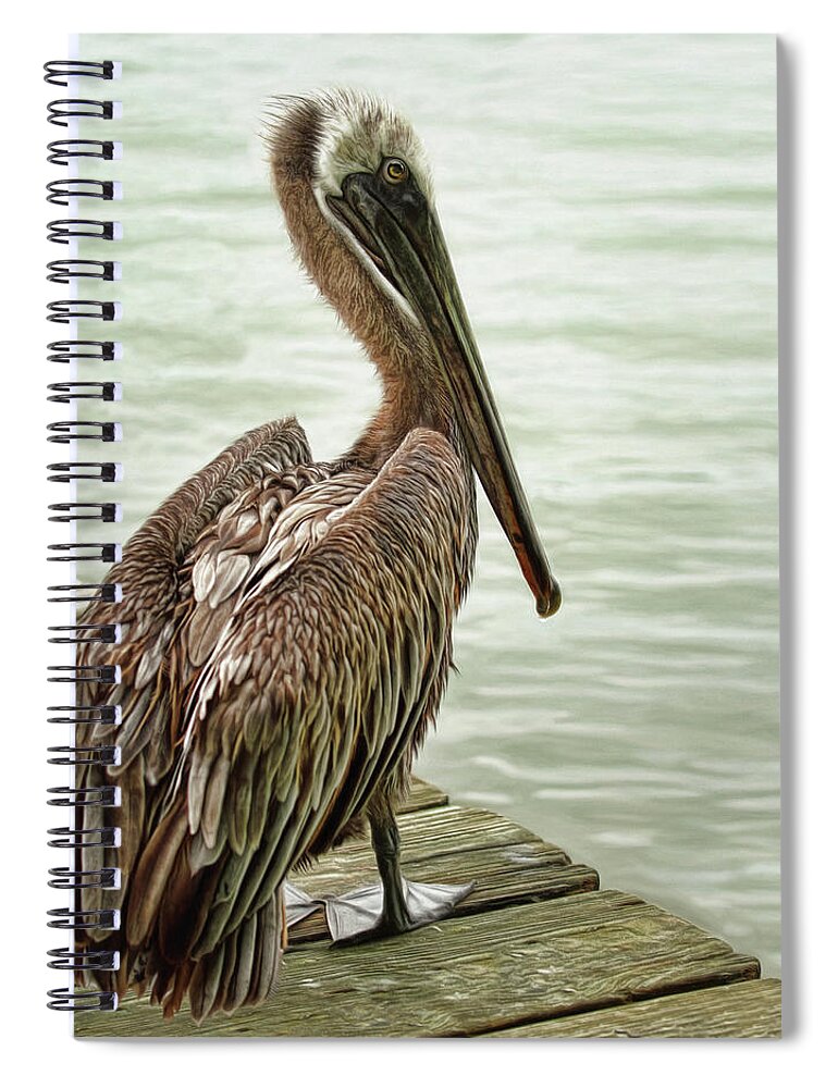 Pelican Spiral Notebook featuring the photograph Tough Old Bird by Brad Barton