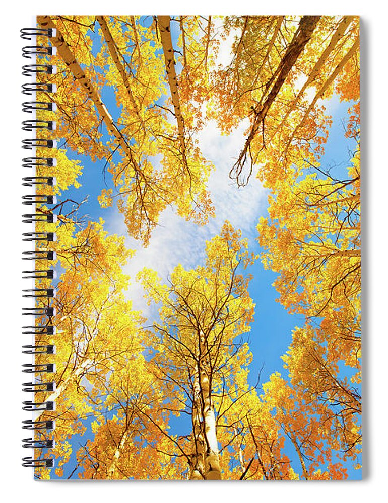Aspens Spiral Notebook featuring the photograph Towering Aspens by Darren White