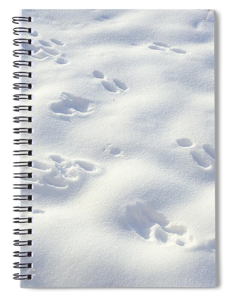 Snow Spiral Notebook featuring the photograph Tracks and Shadows by Kae Cheatham