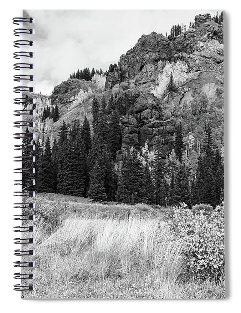 Foliage Spiral Notebook featuring the photograph Train Switchback Black and White by Steve Templeton
