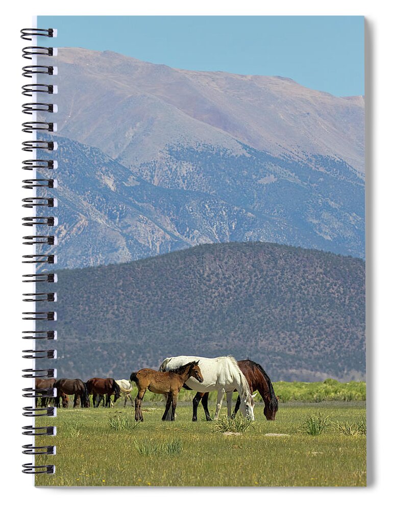 Eastern Sierra Spiral Notebook featuring the photograph Tranquility in the Meadow II by Cheryl Strahl