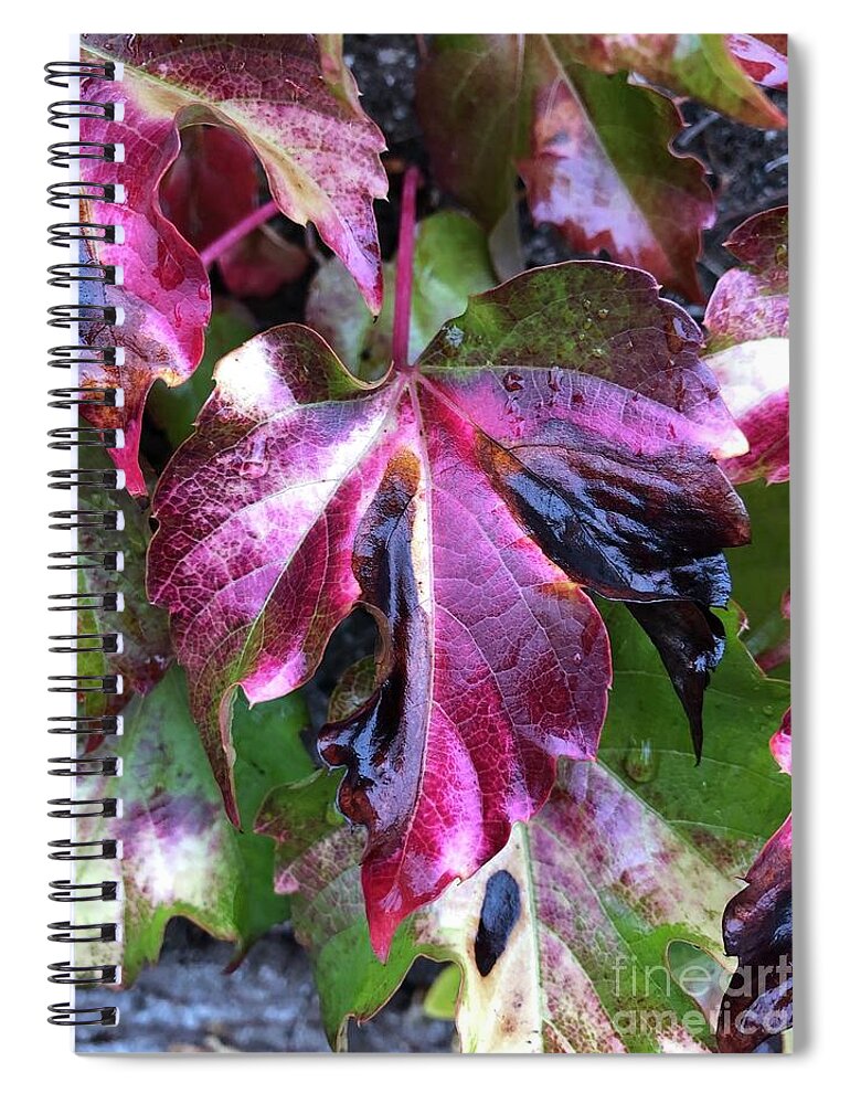 Leaf Spiral Notebook featuring the photograph Transformation by Tina Marie