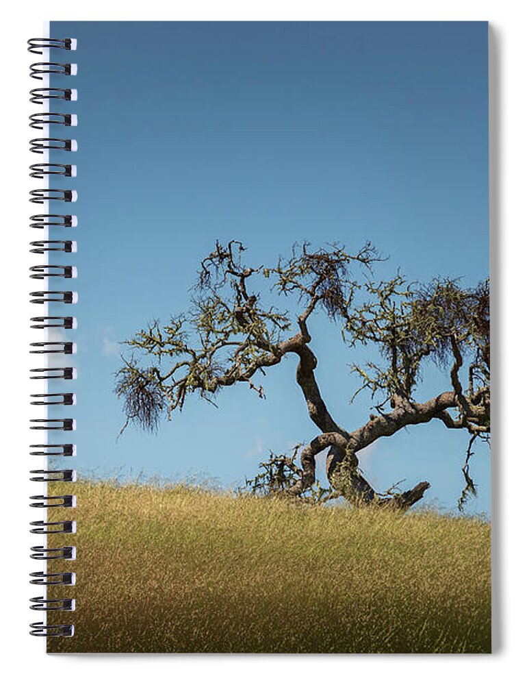 Cloud Spiral Notebook featuring the photograph Tree and Cloud Carmel Valley CA Color by David Gordon