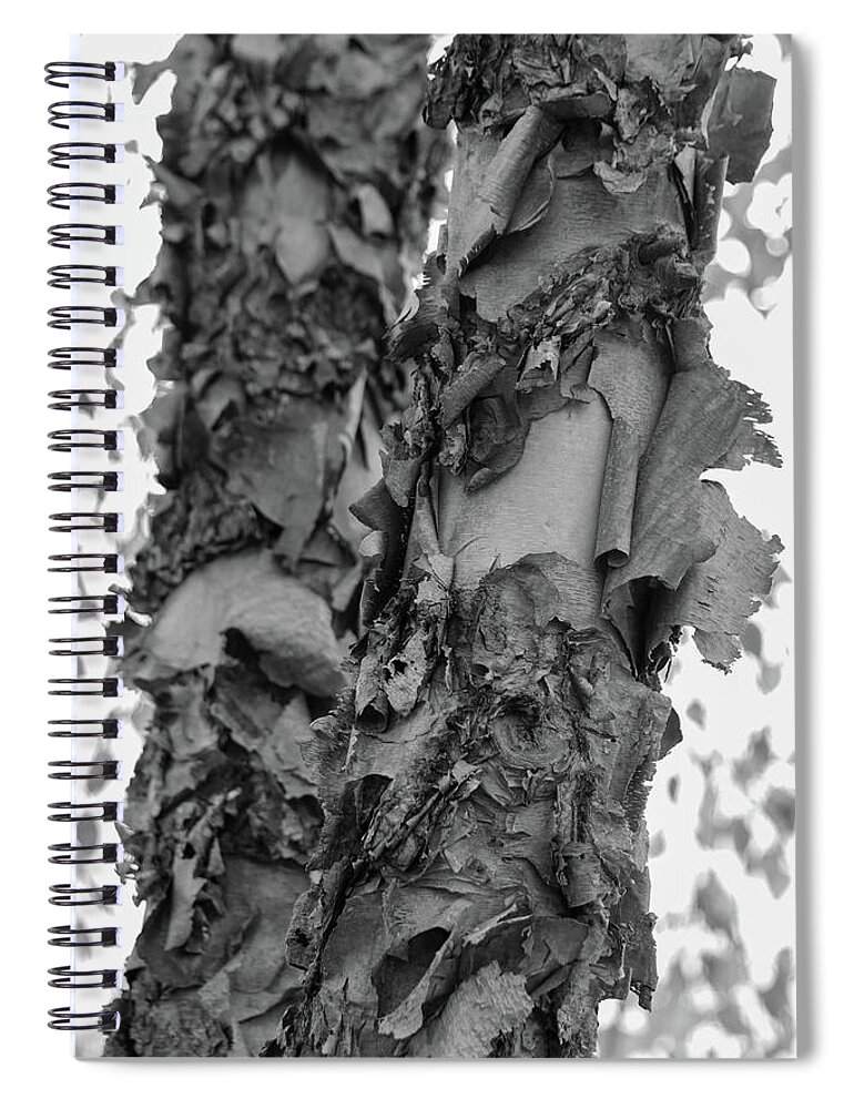 Photography Spiral Notebook featuring the photograph Tree Bark Unfolding by Mary Anne Delgado