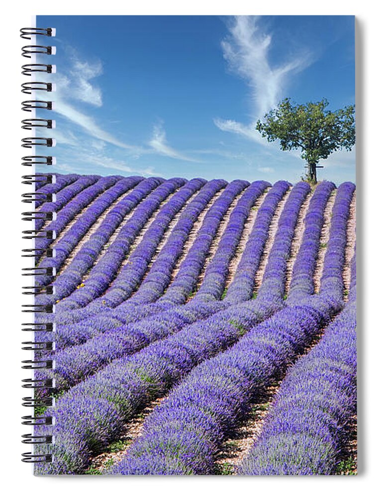 Lavender Field Spiral Notebook featuring the photograph Tree in Provence by Jurgen Lorenzen