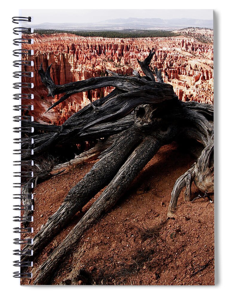 Landscape Spiral Notebook featuring the photograph Tree over the Abyss by WonderlustPictures By Tommaso Boddi