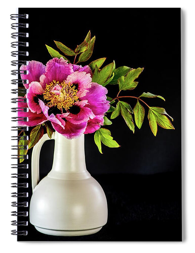 Tree Peony Spiral Notebook featuring the photograph Tree peony in full blown Lan He Paeonia suffruticosa rockii i by Torbjorn Swenelius