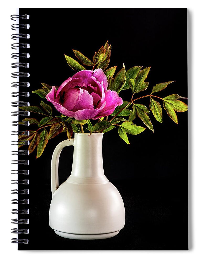 Tree Peony Spiral Notebook featuring the photograph Tree peony Lan He Paeonia suffruticosa rockii in a white vase on a black background by Torbjorn Swenelius