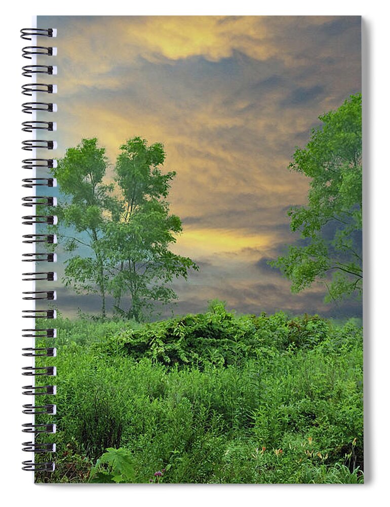 Landscape Spiral Notebook featuring the digital art Tree Thoughts by Allen Nice-Webb