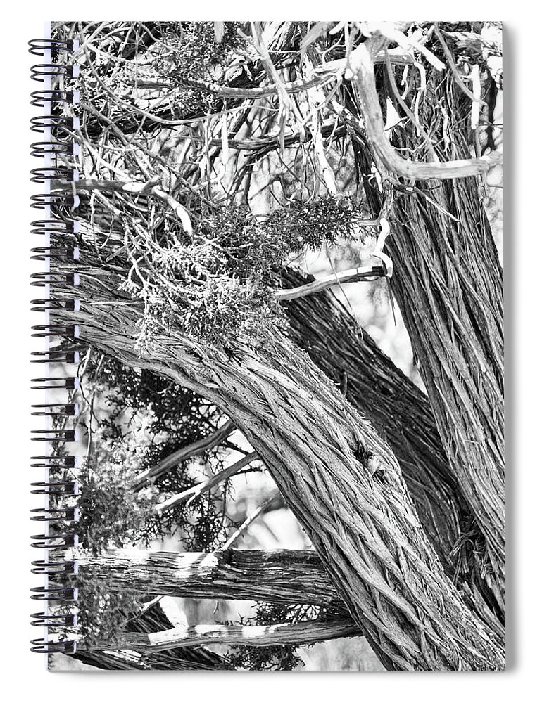 Flora Spiral Notebook featuring the photograph Tree trunk in black and white by Segura Shaw Photography