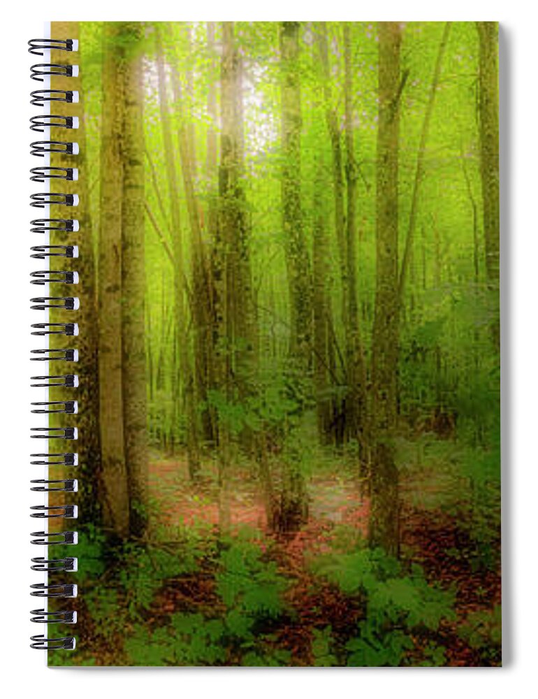 Mountains Spiral Notebook featuring the photograph Tree Trunks in the Forest fx 920 by Dan Carmichael