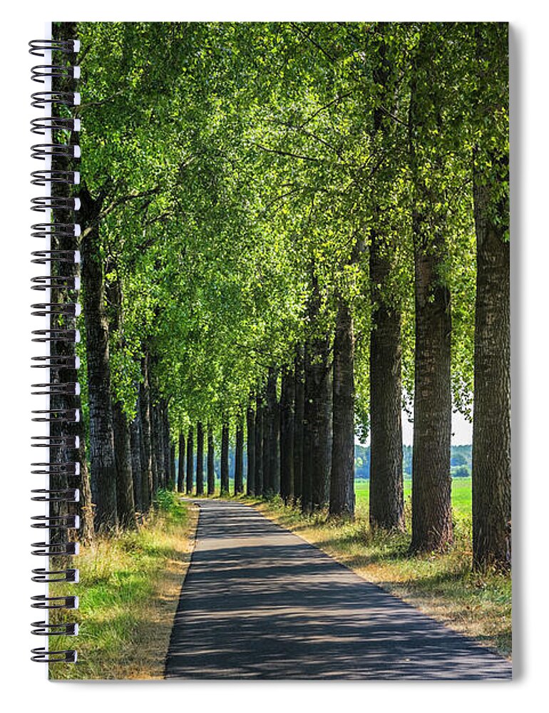 Clouds Spiral Notebook featuring the photograph Trees along the Path by Debra and Dave Vanderlaan