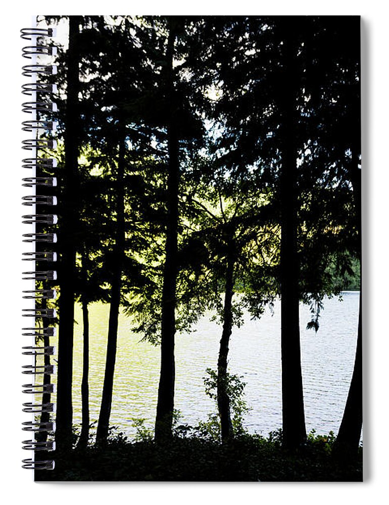 Dv8.ca Spiral Notebook featuring the photograph Trees at Alice Lake by Jim Whitley
