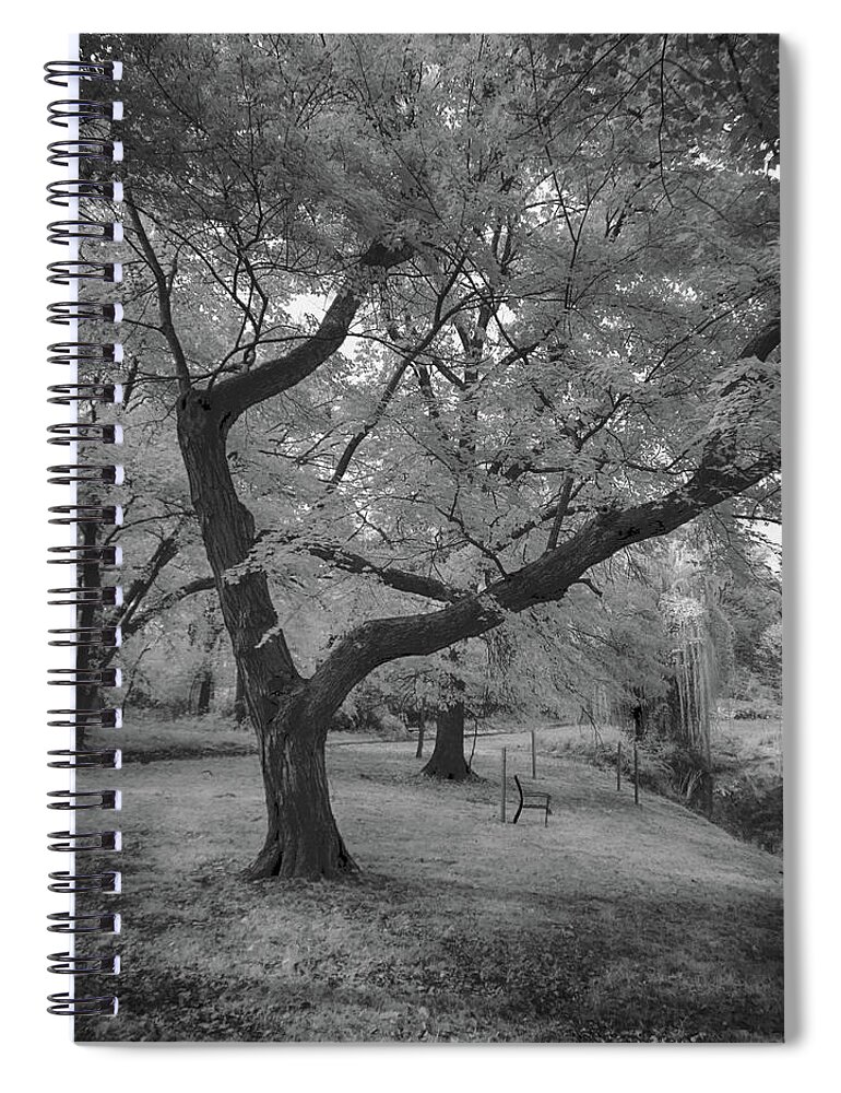 Infrared Spiral Notebook featuring the photograph Trees at the park in black and white by Alan Goldberg