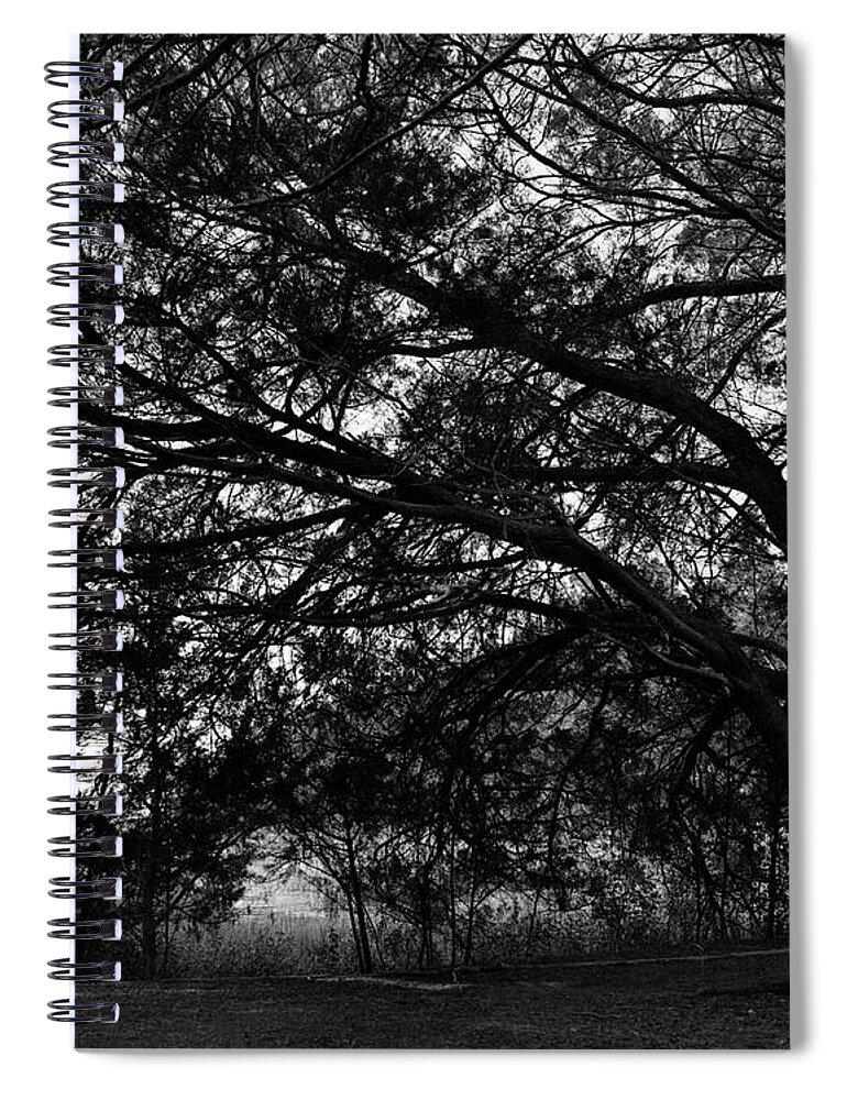 Georgia Spiral Notebook featuring the photograph Trees, Hammock, Marshes of Glynn by John Simmons