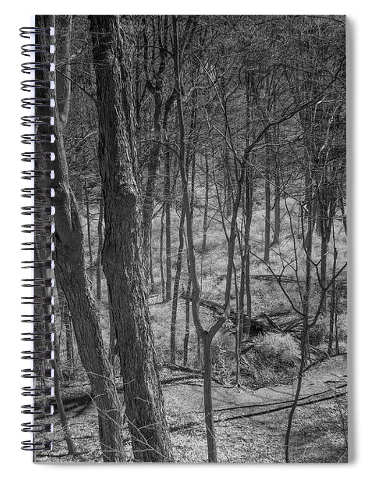 Desterted Village Spiral Notebook featuring the photograph Trees in Deserted Village by Alan Goldberg
