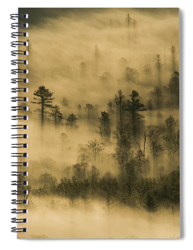 North Carolina Spiral Notebook featuring the photograph Trees in the Fog by Melissa Southern