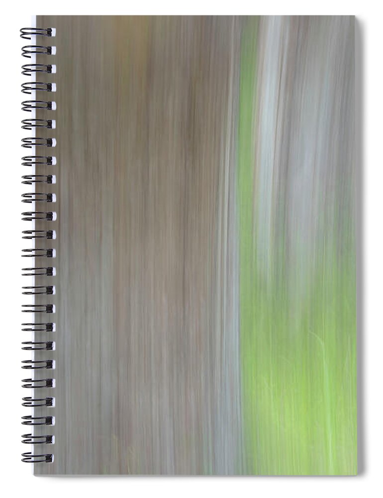 Tree Spiral Notebook featuring the photograph Trees in the Forest by Kathy Paynter