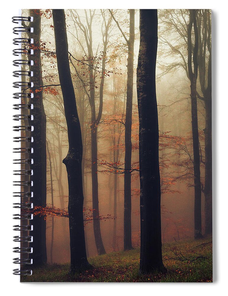 Balkan Mountains Spiral Notebook featuring the photograph Trees in the Mist by Evgeni Dinev