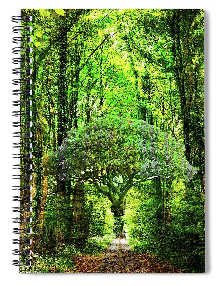 Collage Spiral Notebook featuring the digital art Trees by John Vincent Palozzi