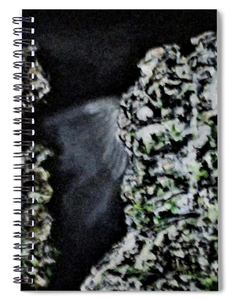 Trees Spiral Notebook featuring the painting Trees No2. by Clyde J Kell