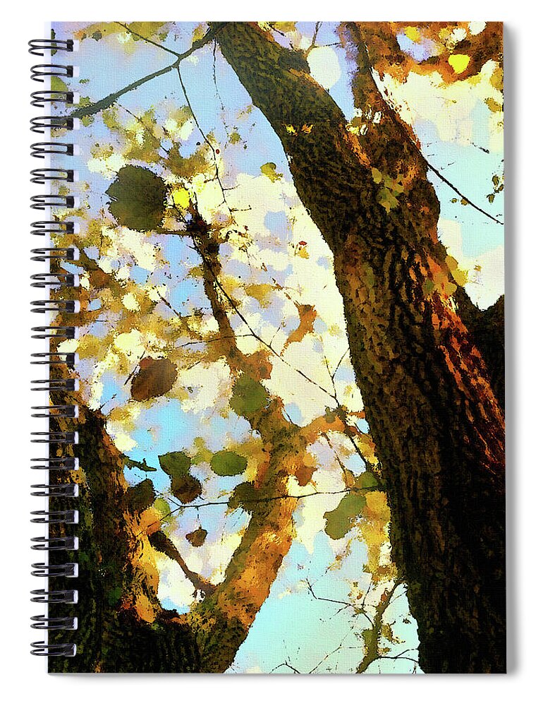 Treetop Spiral Notebook featuring the mixed media Treetop Abstract-Look up a Tree by Shelli Fitzpatrick