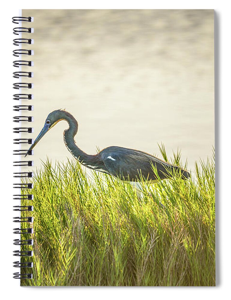 Tricolored Spiral Notebook featuring the photograph Tricolored and Saltgrass by Christopher Rice