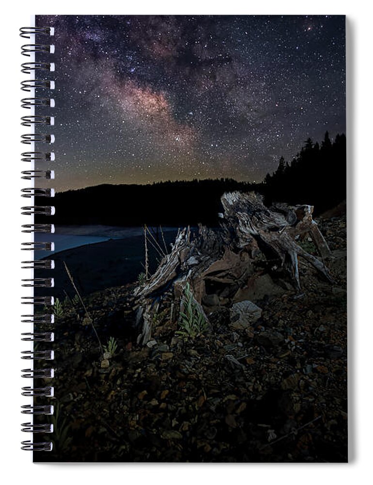 Lake Spiral Notebook featuring the photograph Trinity Stump and Stars by Mike Lee