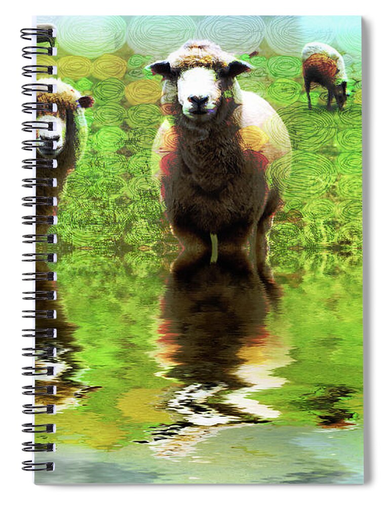 Et66 Faa Competition Entry Spiral Notebook featuring the photograph Triple Sheep Edit This 66 by Jack Torcello