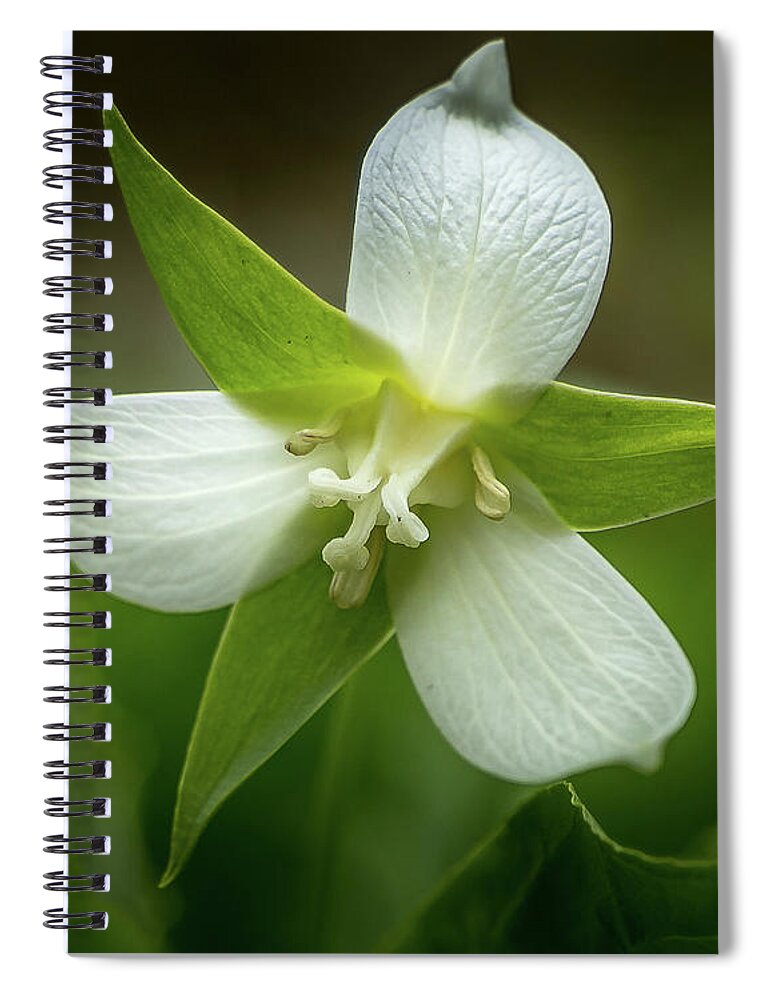 Flower Spiral Notebook featuring the photograph Trivium by Bill Frische