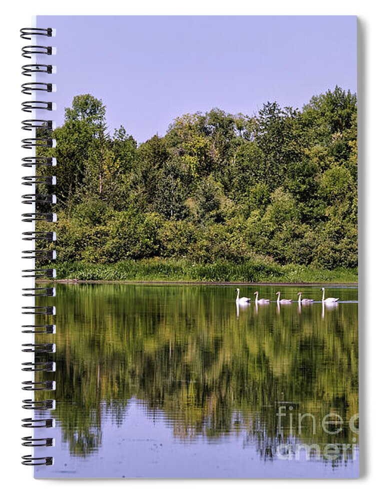 Minnetonka Spiral Notebook featuring the photograph Trumpeter Family on Lake in Carver Park in Minnetonka by Natural Focal Point Photography