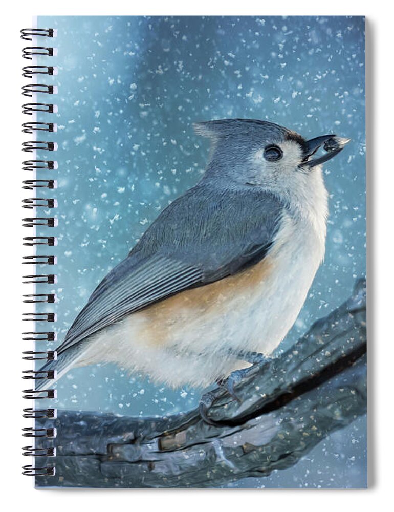 Titmouse Spiral Notebook featuring the photograph Tufty Snags a Winter Snack by Bill and Linda Tiepelman