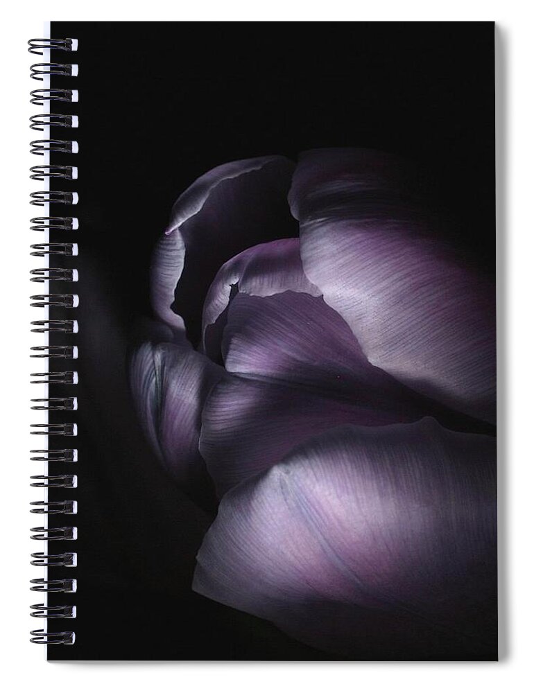 Floral Spiral Notebook featuring the photograph Tulip 040707 by Julie Powell