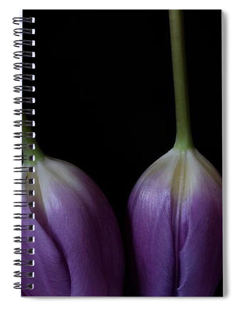 Floral Spiral Notebook featuring the photograph Tulip 1116 2V by Julie Powell