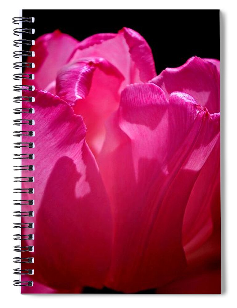 Whispers Of The Heart! Spiral Notebook featuring the photograph Tulip beauty by Bess Carter