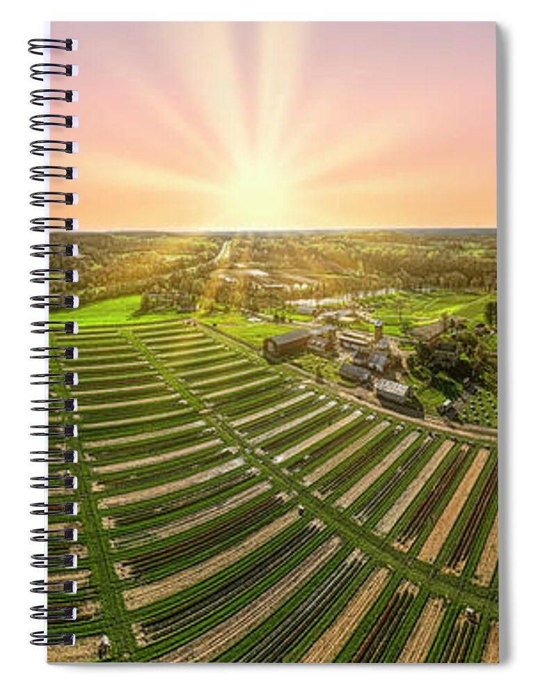 Tulip Spiral Notebook featuring the photograph Tulip Farm Panorama by Susan Candelario
