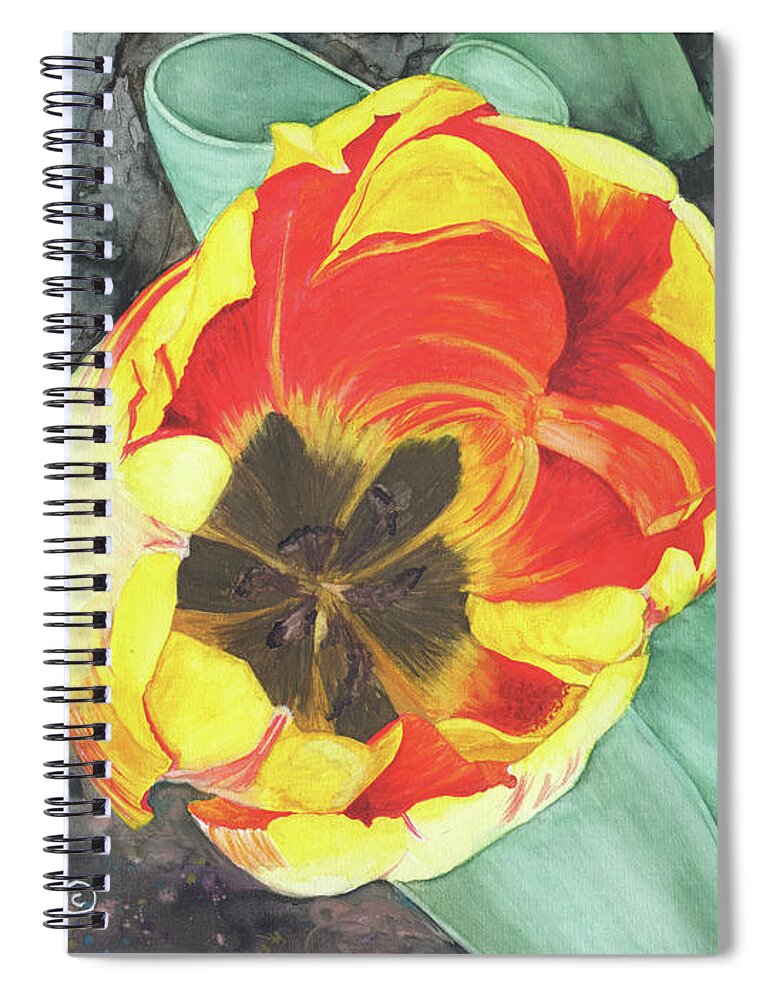 Watercolor Spiral Notebook featuring the painting Tulip Heart by Heather E Harman