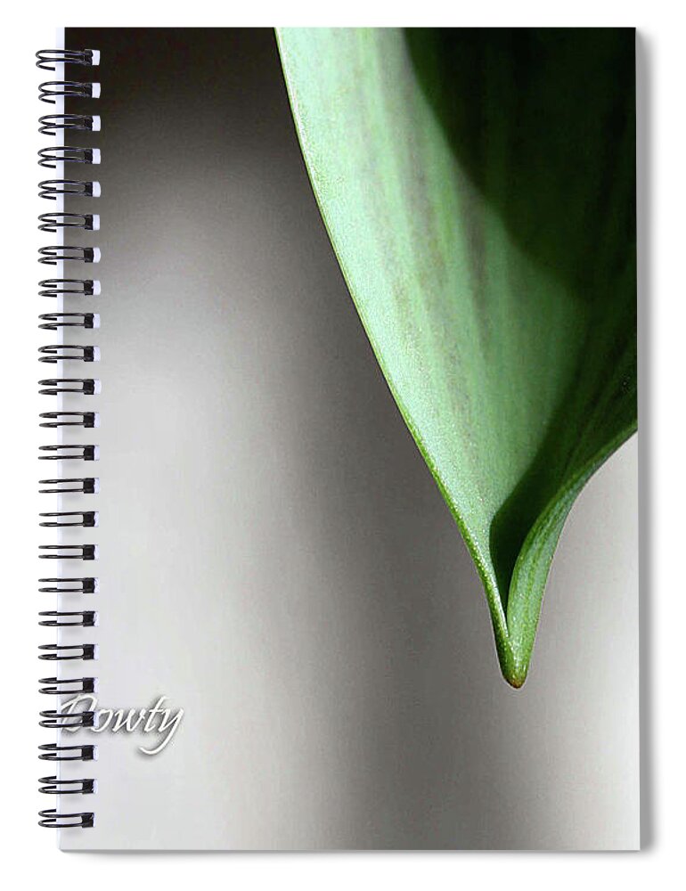 Tulip Leaf Spiral Notebook featuring the photograph Tulip Leaf by Natalie Dowty