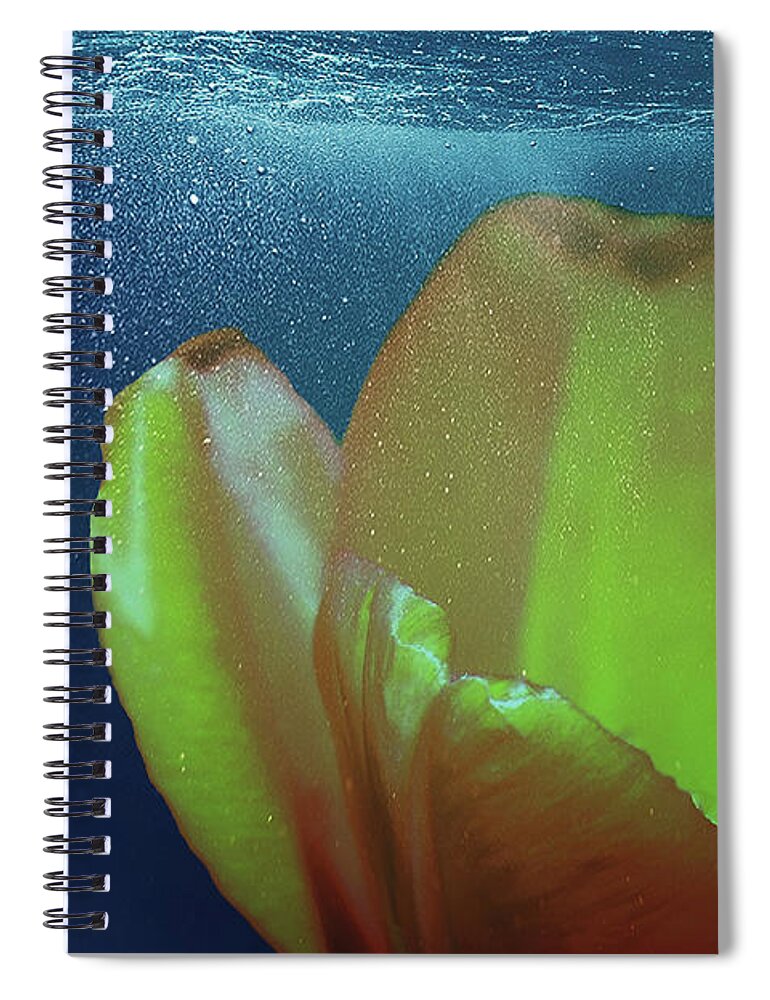 Tulip Spiral Notebook featuring the photograph Tulip Underwater by Johanna Hurmerinta