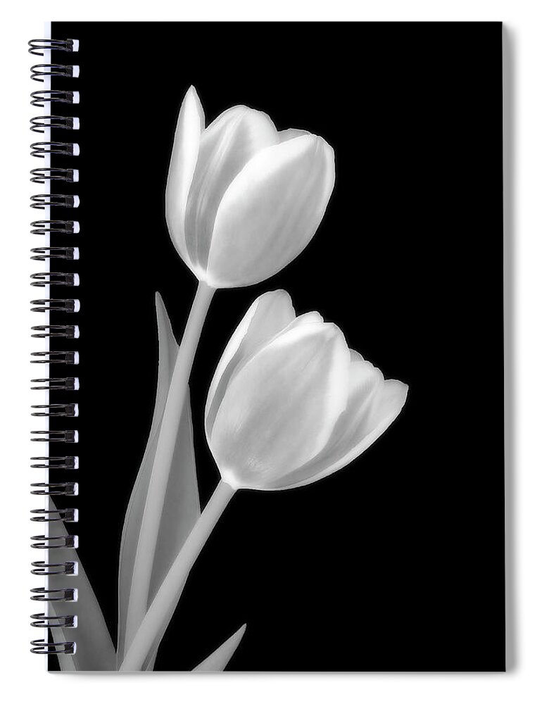 Tulip Spiral Notebook featuring the photograph Tulips In Black And White by Johanna Hurmerinta
