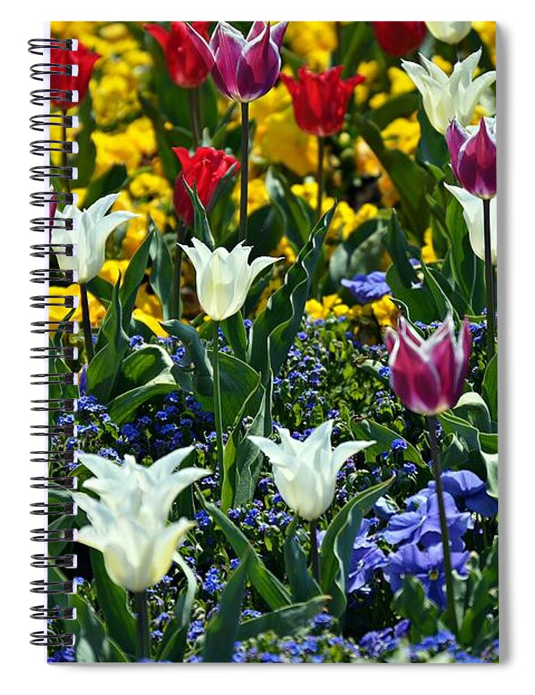 Tulips Spiral Notebook featuring the photograph Tulips by Thomas Schroeder